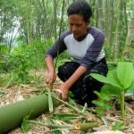 Gender, Konservasi Lingkungan dan Perubahan Iklim