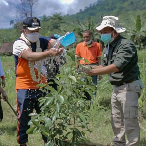 Pemulihan Ekosistem di TN Meru Betiri Jember Melalui Sambung Srawung, Pantang Mundur Sakdurung Tandur
