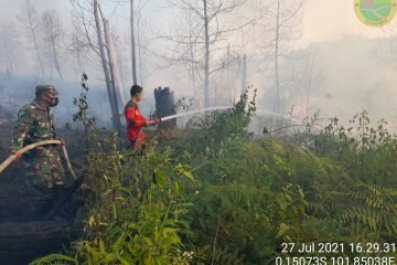 Balai TN Tesso Nilo Bersama Tim Terpadu Padamkan Kebakaran Hutan dan Lahan