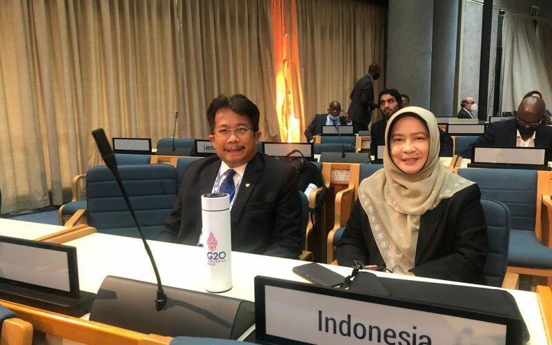 Indonesia Golkan Resolusi Danau di PBB