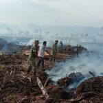 Api Bakar Hutan dan Lahan Beberapa Gampong Aceh Selatan