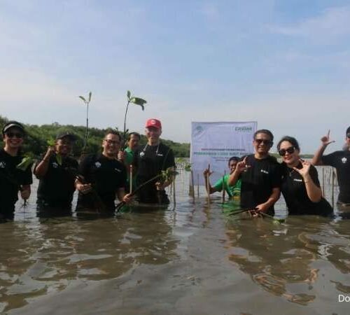 Citilink Tanam 1000 Bibit Pohon Mangrove di Pesisir Pantai Untia Makassar